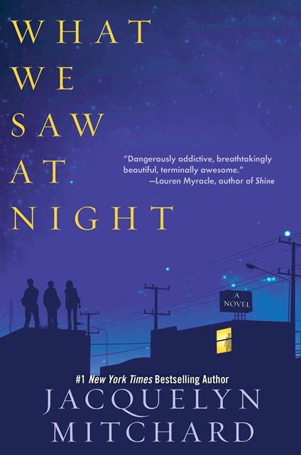 What We Saw at Night - Jacquelyn Mitchard - ebook
