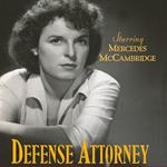 Defense Attorney