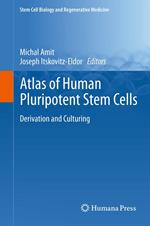 Atlas of Human Pluripotent Stem Cells