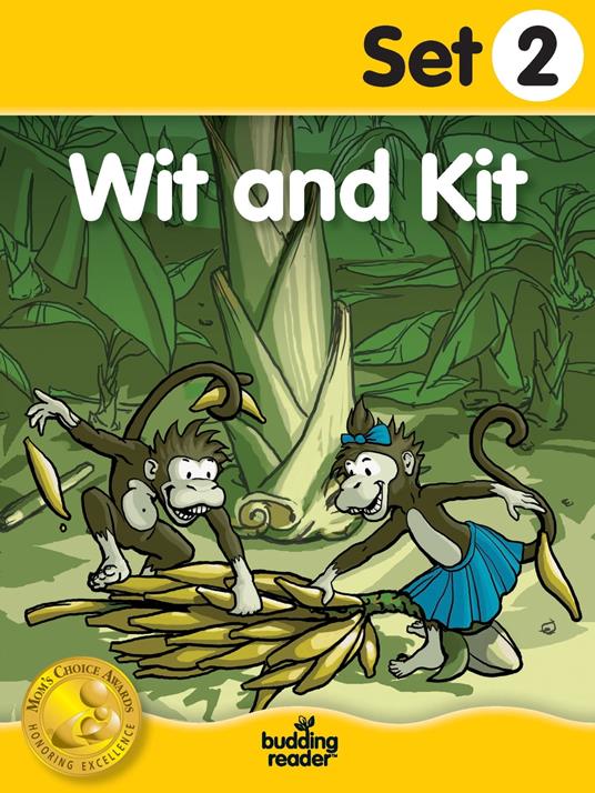 Budding Reader Book Set 2: Wit and Kit