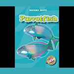 Parrotfish