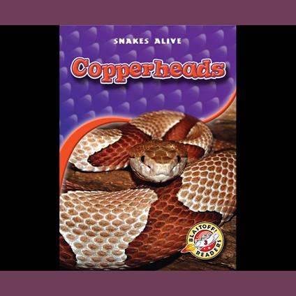 Copperheads