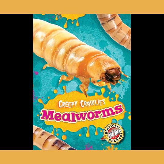 Mealworms