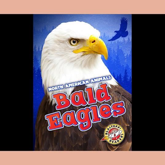 Bald Eagles