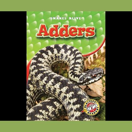 Adders