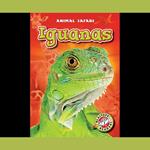 Iguanas