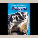 Badgers