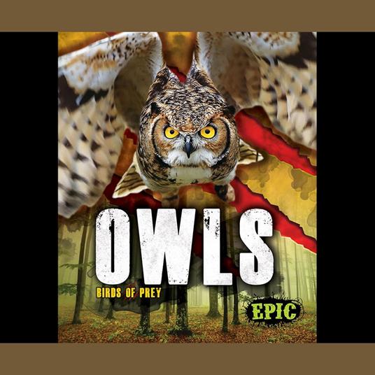 Owls