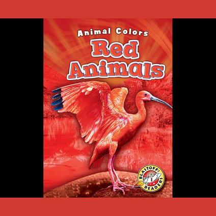 Red Animals