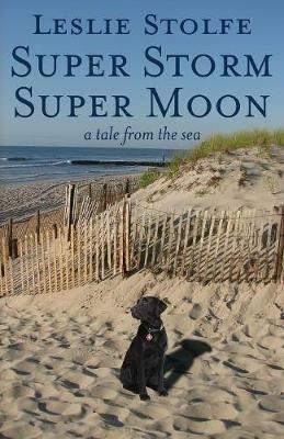 Super Storm Super Moon: A Tale from the Sea - Leslie Stolfe - cover