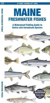 Maine Freshwater Fishes: A Waterproof Folding Guide to Native and Introduced Species - Matthew Morris - cover