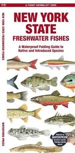 New York State Freshwater Fishes: A Folding Guide to Native and Introduced Species