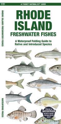 Rhode Island Freshwater Fishes: A Waterproof Folding Guide to Native and Introduced Species - Matthew Morris - cover