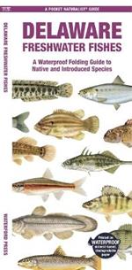 Delaware Freshwater Fishes: A Folding Guide to Native and Introduced Species