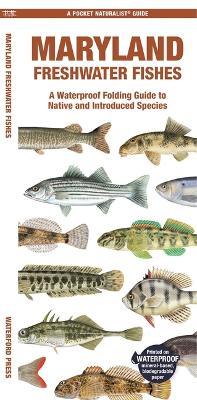 Maryland Freshwater Fishes: A Waterproof Folding Guide to Native and Introduced Species - Matthew Morris Matthew Morris - cover