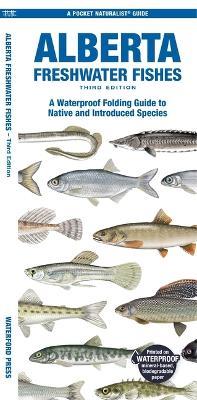 Alberta Freshwater Fishes: A Waterproof Folding Guide to Native and Introduced Species - Matthew Morris,Sean Rogers - cover