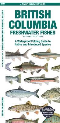 British Columbia Freshwater Fishes: A Waterproof Folding Guide to Native and Introduced Species - Matthew Morris - cover