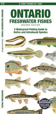 Ontario Freshwater Fishes: A Waterproof Folding Guide to Native and Introduced Species - Matthew Morris - cover