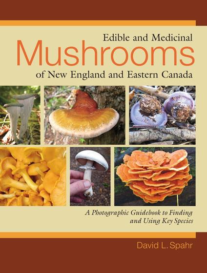 Edible and Medicinal Mushrooms of New England and Eastern Canada