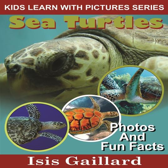 Sea Turtles