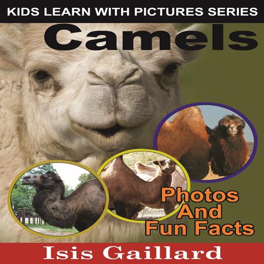 Camels