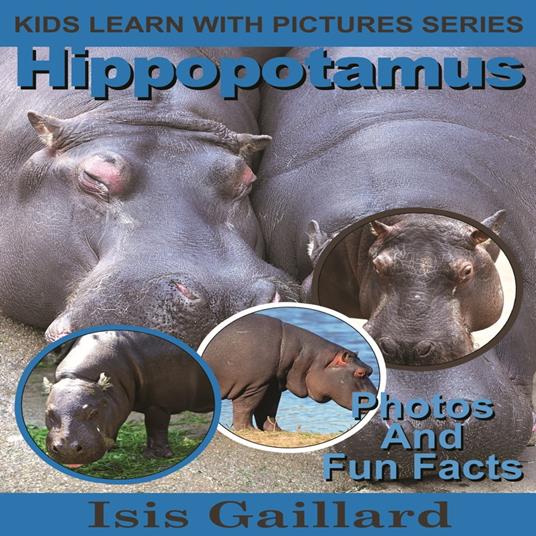 Hippopotamus