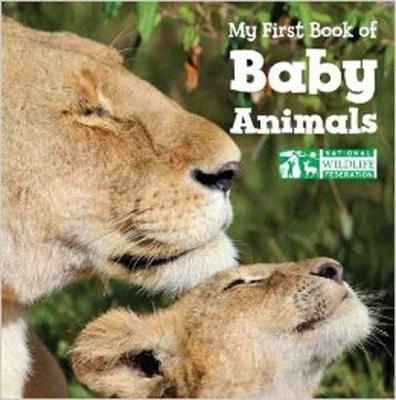My First Book of Baby Animals (National Wildlife Federation) - National Wildlife Federation - cover