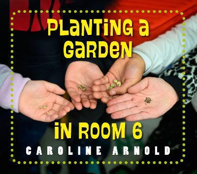 Planting a Garden in Room 6: From Seeds to Salad - Caroline Arnold - cover