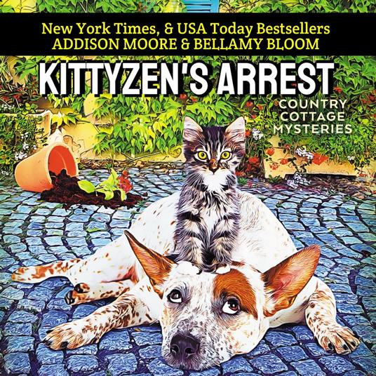 Kittyzen's Arrest