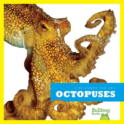 Octopuses