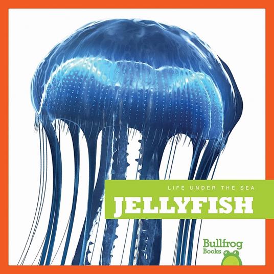 Jellyfish