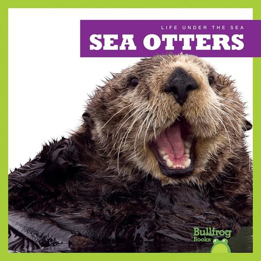 Sea Otters