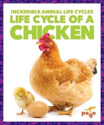 Life Cycle of a Chicken - Karen Kenney - cover