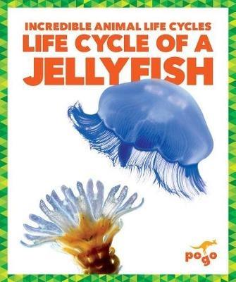 Life Cycle of a Jellyfish - Karen Kenney - cover