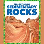 Sedimentary Rocks