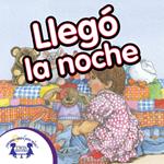 Llegó la noche