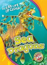 Sea Dragons