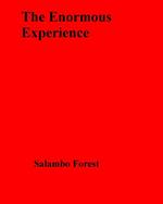 The Enormous Experience