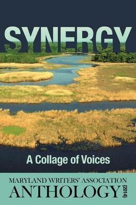 Synergy: A Collage of Voices Anthology 2014 - cover