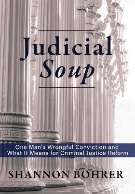 Judicial Soup - Shannon Bohrer - cover