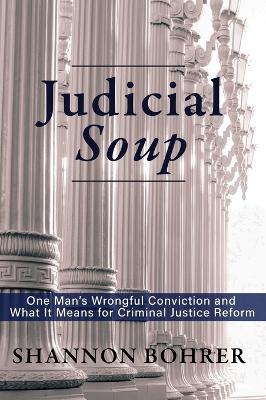 Judicial Soup - Shannon Bohrer - cover