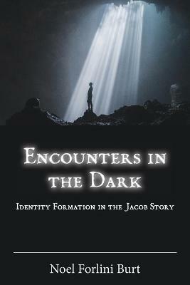 Encounters in the Dark: Identity Formation in the Jacob Story - Noel Forlini Burt - cover