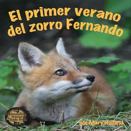 El primer verano del zorro Fernando