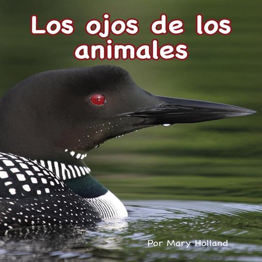 Los ojos de los animales