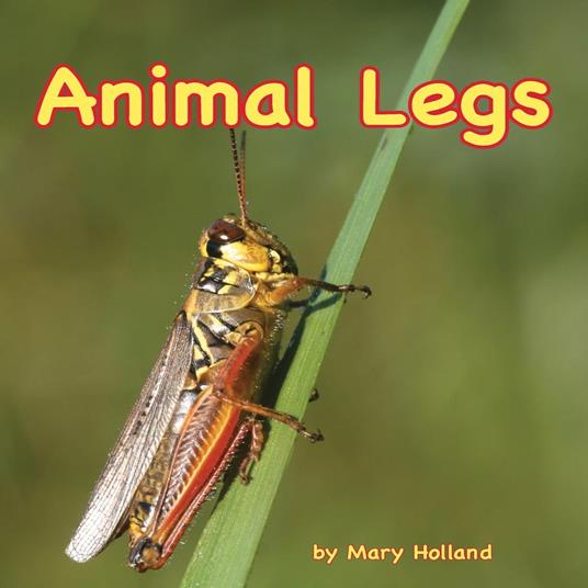 Animal Legs