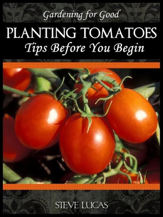 Planting Tomatoes