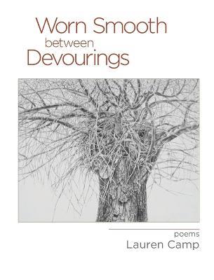 Worn Smooth between Devourings - Lauren Camp - cover