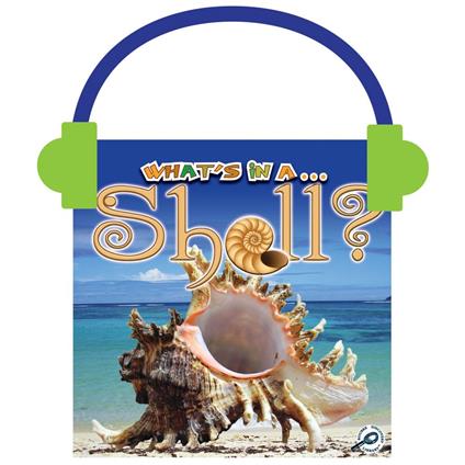 What's in a… Shell?