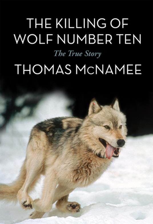 The Killing of Wolf Number Ten