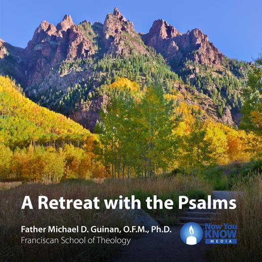 Retreat with the Psalms, A